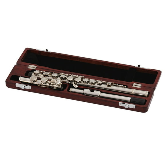 FOLOYORI Rosewood Flute Case and Recorder Box Set - Music Instrument Storage for Flute and Recorder Players
