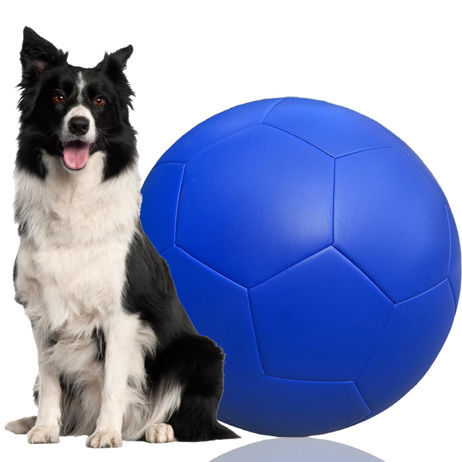 FOMAOGO Herding Ball for Dogs, Collie Ball for Blue Heelers Australian
