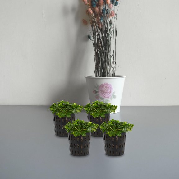 FOMIYES 10pcs Net Cups Hydroponic Plastic for Plant Root Growth Balcony Planting
