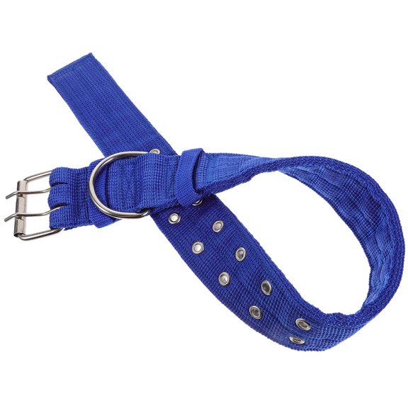 FOMIYES 1Pack Lightweight Dog Collar Foam Blue Decorative Pet Accessory