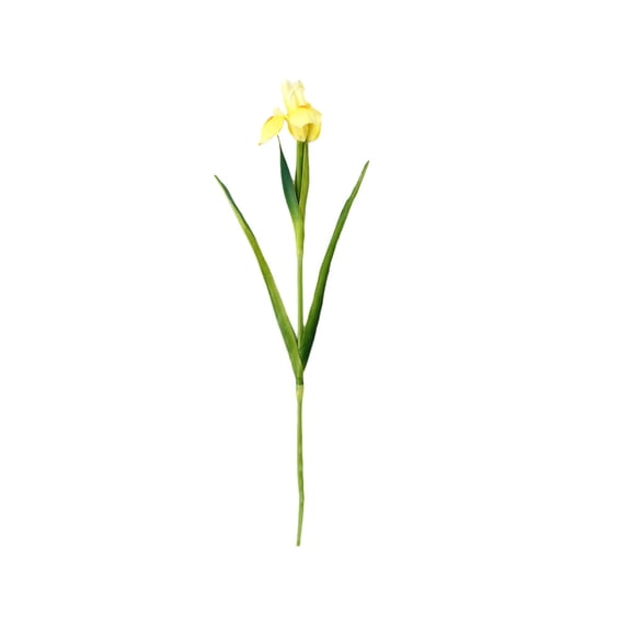 FOMIYES 1Pc Realistic Yellow Simulation Iris Flower with Bendable Stem for Home Decor