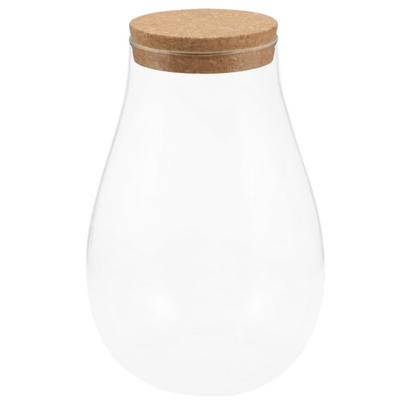 FOMIYES 1Set Simple Style Glass Tank Microlandscape Vase For Windowsill And Patios Storage Holder