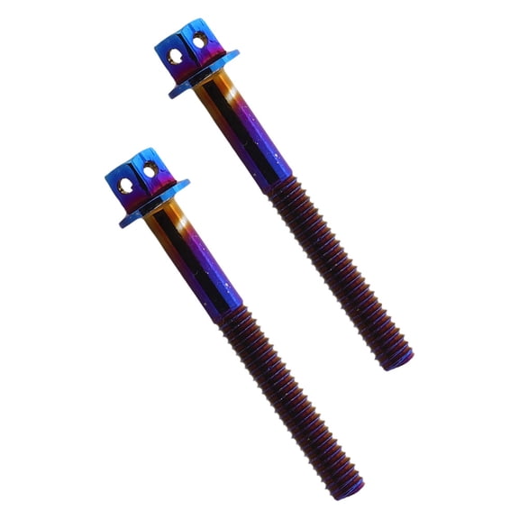 FOMIYES 2Pcs Electric Motorcycle License Plate Screws with Stylish Iridescent Appearance
