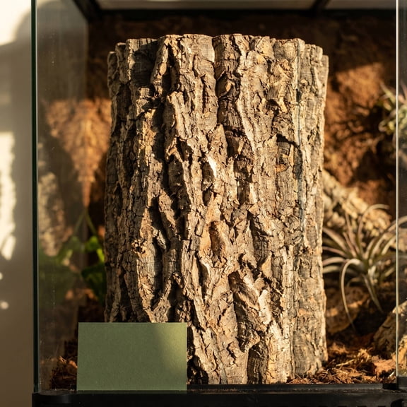 FOMIYES 5Pcs Brown Cork Bark Tiles for Aquarium Decor Natural Backdrop for Terrarium Habitat