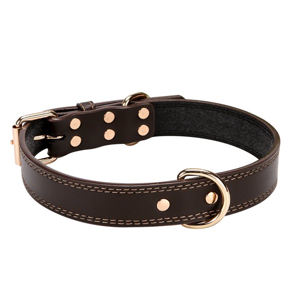 FOMIYES Adjustable Coffee Pet Collar with Unique Bell Rivet and D Ring Design for Daily Use
