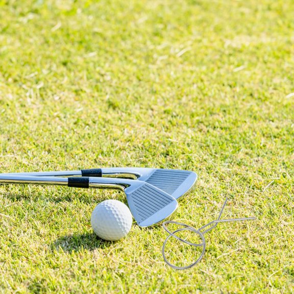 FOMIYES Alasum Compact Plated Silver Golf Ball Grabber Tool for Portable Use on Golf Course and Driving Range