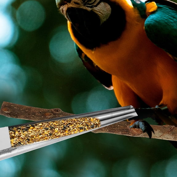 FOMIYES Alasum Plated Silver Stainless Steel Feed Scoop for Bird Cage and Parrot Feeding with Small Spoon Head Design