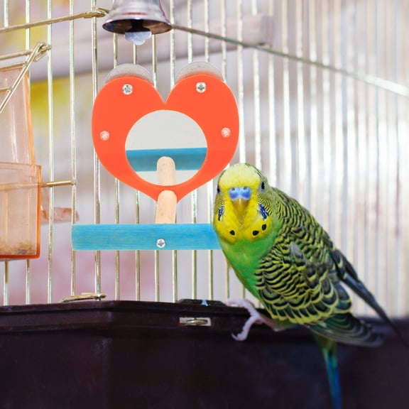 FOMIYES Acrylic Bird Table Mirror Parrot Toys for Kids, 1 Set Colorful Interactive Pet Play Accessory
