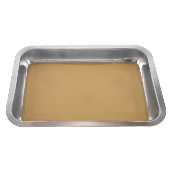FOMIYES Stainless Steel Dissection Tray Plated Silver Wax Lined for DIY Labs