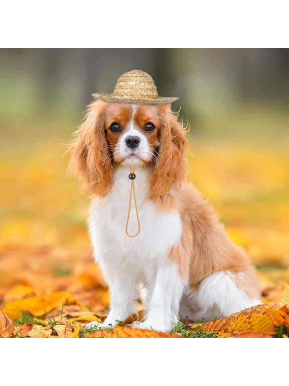 Straw Hat for Dogs Adjustable Fit with Sun Protection in Khaki