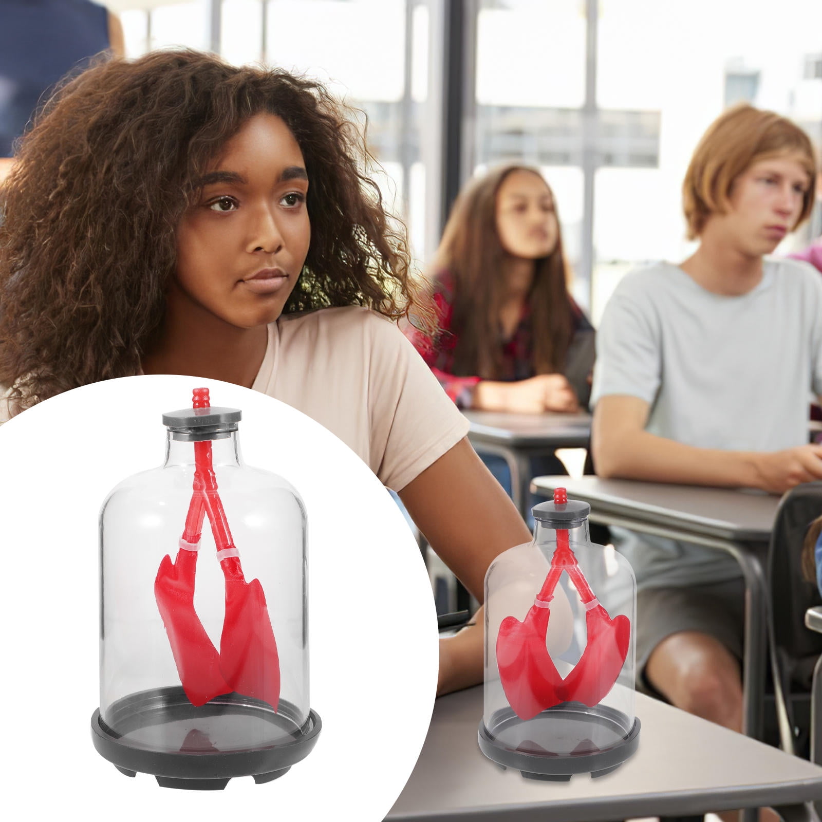 Human Inhalation Model FOMIYES Human Lung Models Breathing Respiratory System Work - Walmart.com