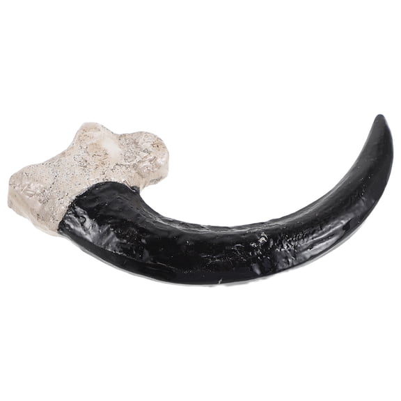 FOMIYES Lifelike Resin Vulture Claw Decorative Piece with Simulated Fossilization for Home Or Classroom