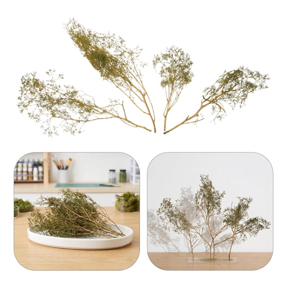 FOMIYES Green Model Trees for Train Layouts, Preserved Plant Craft, Miniature Railroad Scenery, Diorama, Easy to Assemble
