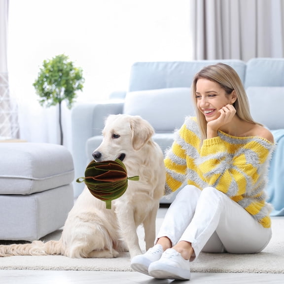 FOMIYES Green Slow for Pets, Interactive Food Hide Toy to Attract Attention and Training Sessions, 1 Set