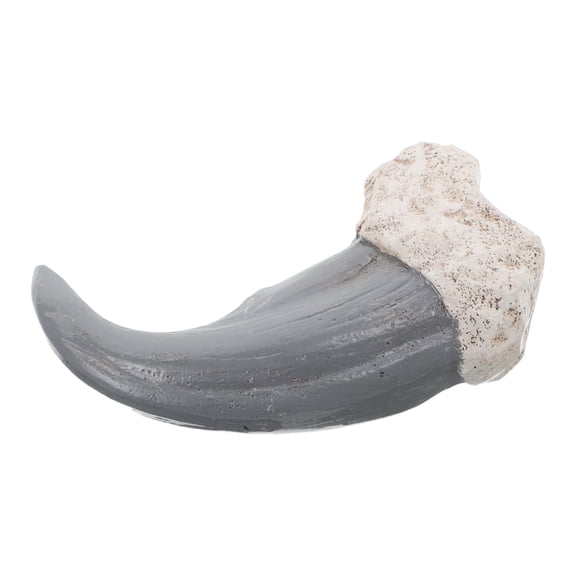 FOMIYES Realistic Resin Bear Claw, Black Fossilized Decorative Piece for Home Use