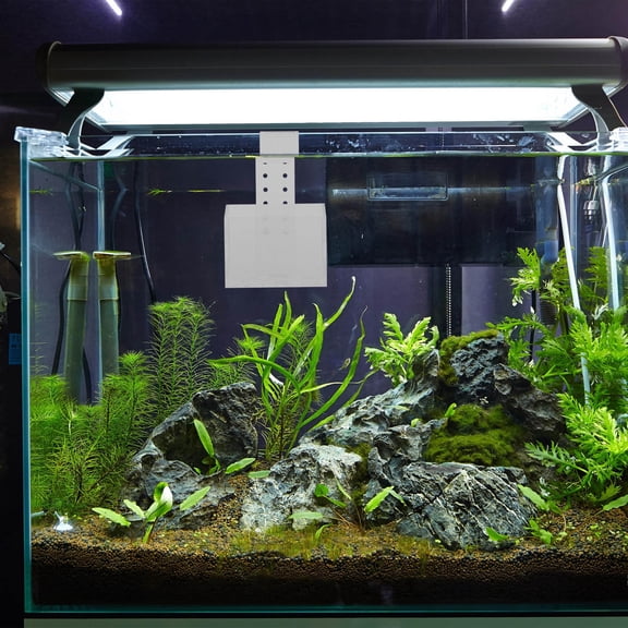 FOMIYES Aquatic Plant Cup for Fish Tank Acrylic Material Hanging Planter with Break Resistant Design