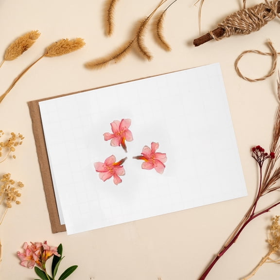 FOMIYES Transparent PVC Laminating Film for Photos and Bookmarks 100Sheets