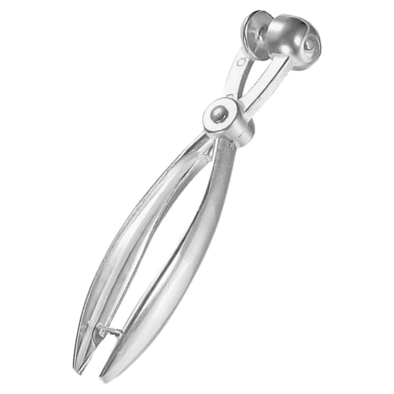 FOMIYES cherry pitter portable Cherry Pitter Tool Metal Pit Removal Cooks 1Set