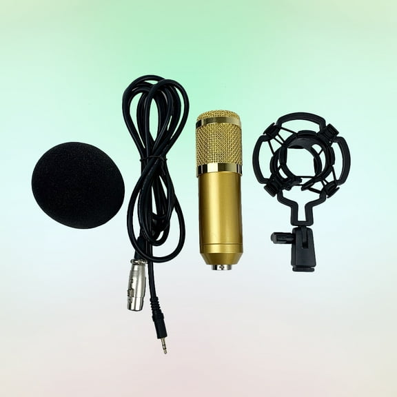 FONDOTIN Professional Microphone Golden 1Pcs 6.1X2.4X1.2In