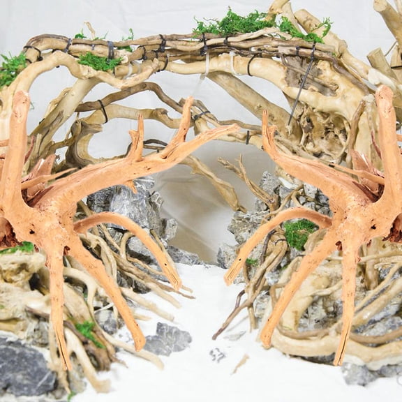 FONDOTIN Rhododendron Root Driftwood Aquarium Decor Natural Wooden Statue for Fish Tank 2Pcs