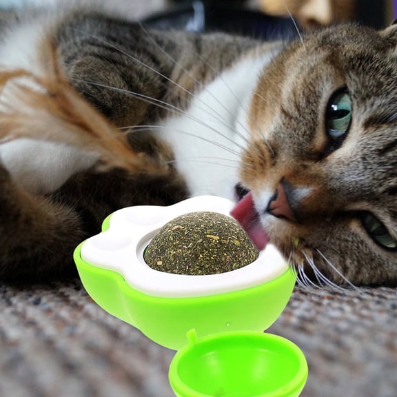 FONDOTIN 3Pcs Interactive Cat Chew Toy Catnip Ball PP Pink Indoor Play Entertainment