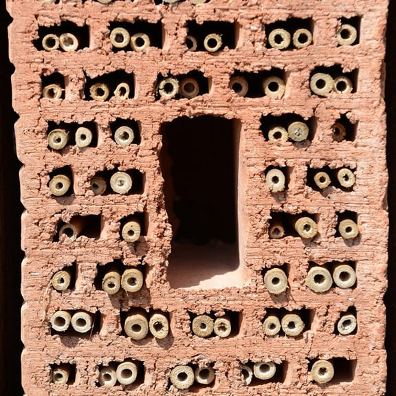 FONDOTIN 50Pcs Bee Tubes Pollination Habitat Outdoor Beekeeping Gear