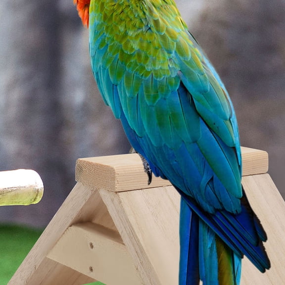 FONDOTIN 5pcs Racing Pigeon Perches Wood Stand Natural Indoor Use for Birds