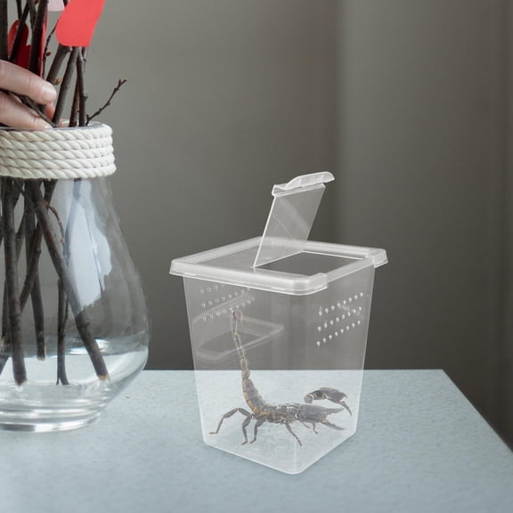 FONDOTIN 8Pcs Lightweight Plastic Reptile Keeper with Large Space and Ventilative Design for Pets