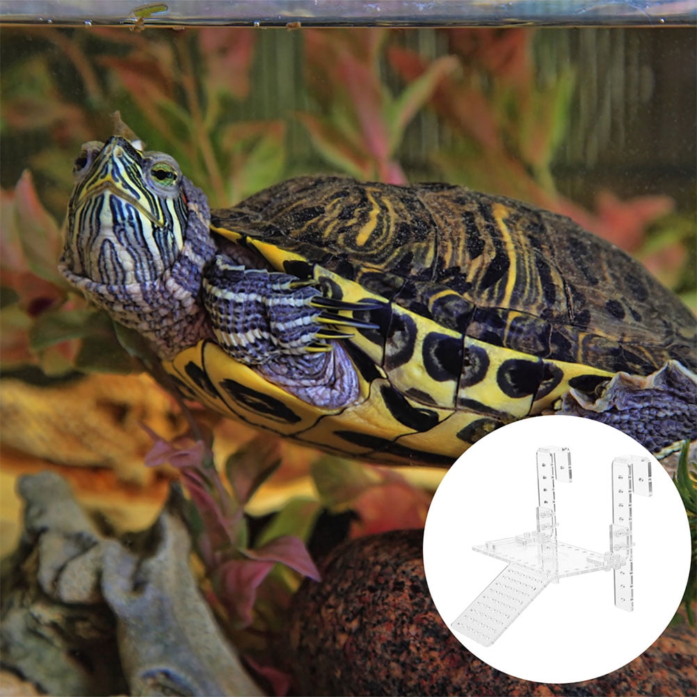 FONDOTIN Multi Use Turtle Tank Ramp and Basking Platform for Turtle ...