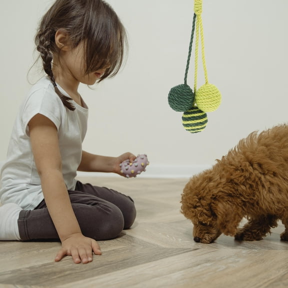 FONDOTIN Pet Cat Interactive Plaything Synthetic Material Set