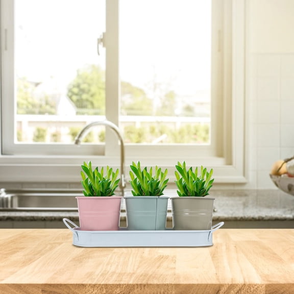 FONWILYO Planter Pots Iron Flower Bucket with Tray for Homeowners Rustic Farmhouse Decor 1Set 11.8x3.9in