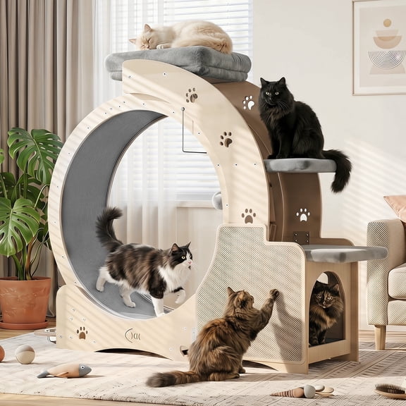 FOOWIN Cat Exercise Wheel, 40 Cat Running Wheel for Indoor Cats with Condo, Scratching Post, Climbing Ladder, Feeding Bowls, Safety Lock
