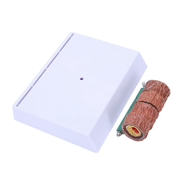 FOR Atherosclerosis Thrombosis Model Vascular Disease Demonstration Heart Vascular Pathology Model