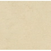 FORBO Marmoleum Click CinchLoc 12 x 12 Square Tiles 7 Tiles 6.78sf