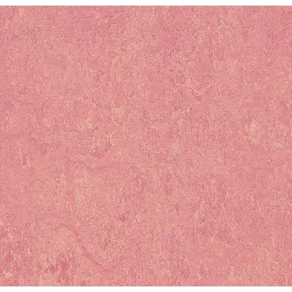 Forbo Flooring Marmoleum Cinch Loc Seal Laminate Square in Honeysuckle 11.81inx11.81in. 6.78SF