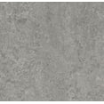 thumbnail image 1 of Forbo Flooring Marmoleum Cinch Loc Seal Laminate Square in Serene Grey 11.81inx11.81in. 6.78SF, 1 of 6