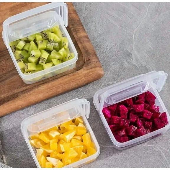 FORGE- 2 Clear Plastic Storage Container