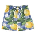 thumbnail image 1 of FORMRS Boys Swim Trunks Quick Dry Mesh Liner Boardshorts Sizes XS-XL, Blue Plaid Lemon, 1 of 7