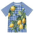thumbnail image 1 of FORMRS Boys Rash Guard with Short Sleeves UPF 50+ Swim Shirts Sizes 3-12T, Green Lemon Plaid, 1 of 6