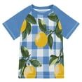 thumbnail image 1 of FORMRS Boys Rash Guard with Short Sleeves UPF 50+ Swim Shirts Sizes 3-12T, Light Blue Plaid, 1 of 6