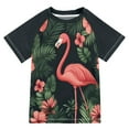 thumbnail image 1 of FORMRS Boys Rash Guard Short Sleeves Swim Shirt Quick Dry UPF 50+ Sun Protection, Sizes 3-12T, Red Flamingo Pattern, 1 of 6