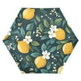 thumbnail image 1 of FORMRS Travel Umbrella Folding Auto Open Close Windproof Rain UV Protection, Yellow Lemons, 1 of 8