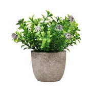 FORSHUYU Mini Artificial Plants Fake Flowers in Pot Faux Succulent Plants for Home Indoor Decor Office Desk Shower Room Bathroom Table Decoration1 Pack