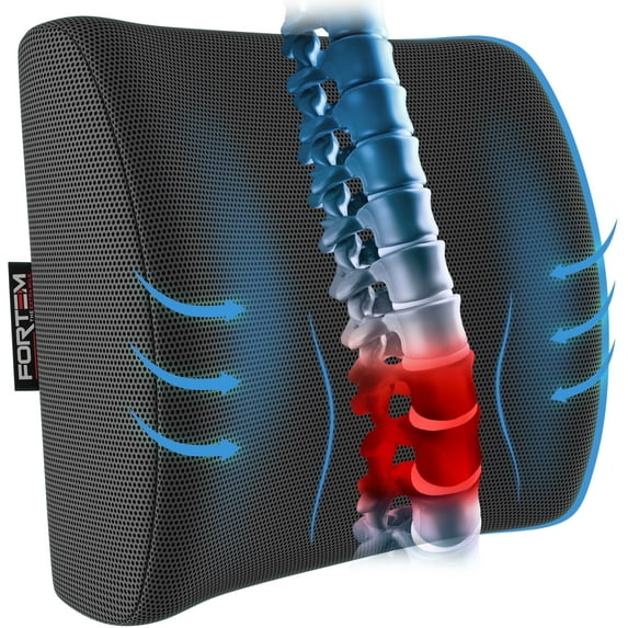 FORTEM Lumbar Support Cushion, Back Support For Office Chair and Car Seat, Back Rest for Gaming Chair, Memory Foam Pillow, Desk Chair Cushion, Breathable & Washable Cover, Adjustable Straps