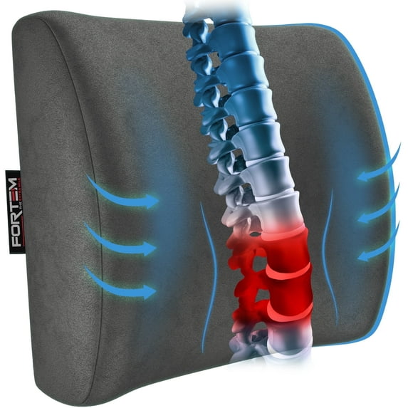 FORTEM Lumbar Support Cushion, Back Support for Office Chair and Car Seat, Back Rest for Gaming Chair, Memory Foam Pillow, Desk Chair Cushion, Breathable & Washable Cover, Adjustable Straps