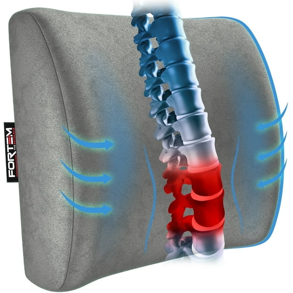 FORTEM Lumbar Support Cushion, Back Support For Office Chair and Car Seat, Back Rest for Gaming Chair, Memory Foam Pillow, Desk Chair Cushion, Breathable & Washable Cover, Adjustable Straps