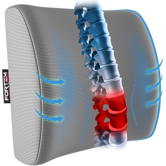 FORTEM Lumbar Support Cushion, Back Support For Office Chair and Car Seat, Back Rest for Gaming Chair, Memory Foam Pillow, Desk Chair Cushion, Breathable & Washable Cover, Adjustable Straps