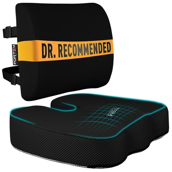 FORTEM Office Chair Cushion and Back Support for Office Chair, Lumbar Support Pillow, Memory Foam, Non Slip Sitting and Back Rest for Gaming, Car Seat Cushion, Chair Pad