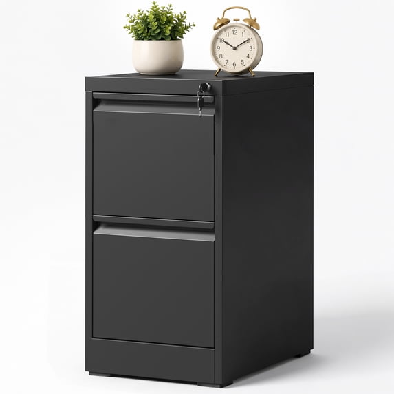 FOSTOKO Locking File Cabinet for Home Office, 2 Drawer Vertical File ...