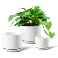 thumbnail image 1 of FOUKUS Set of 3 Ceramic Plant Pots: 4.5/5.3/6.5 inch Indoor Planters with Drainage Hole & Saucer, Outdoor Flower Pots, White, 1 of 7